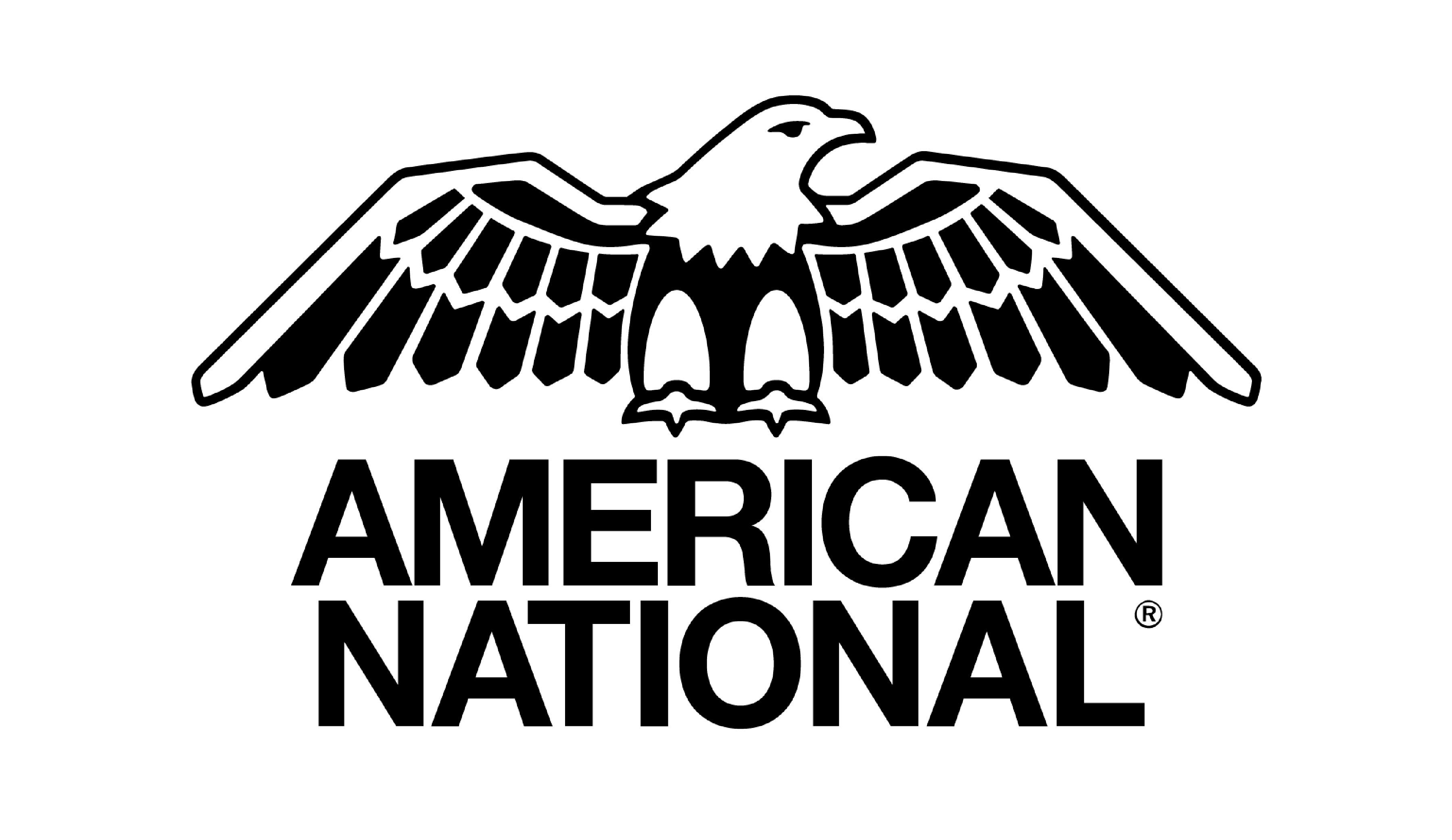 American National logo black