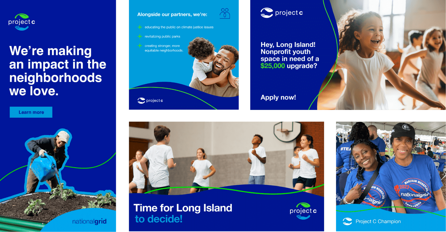 project c digital assets
