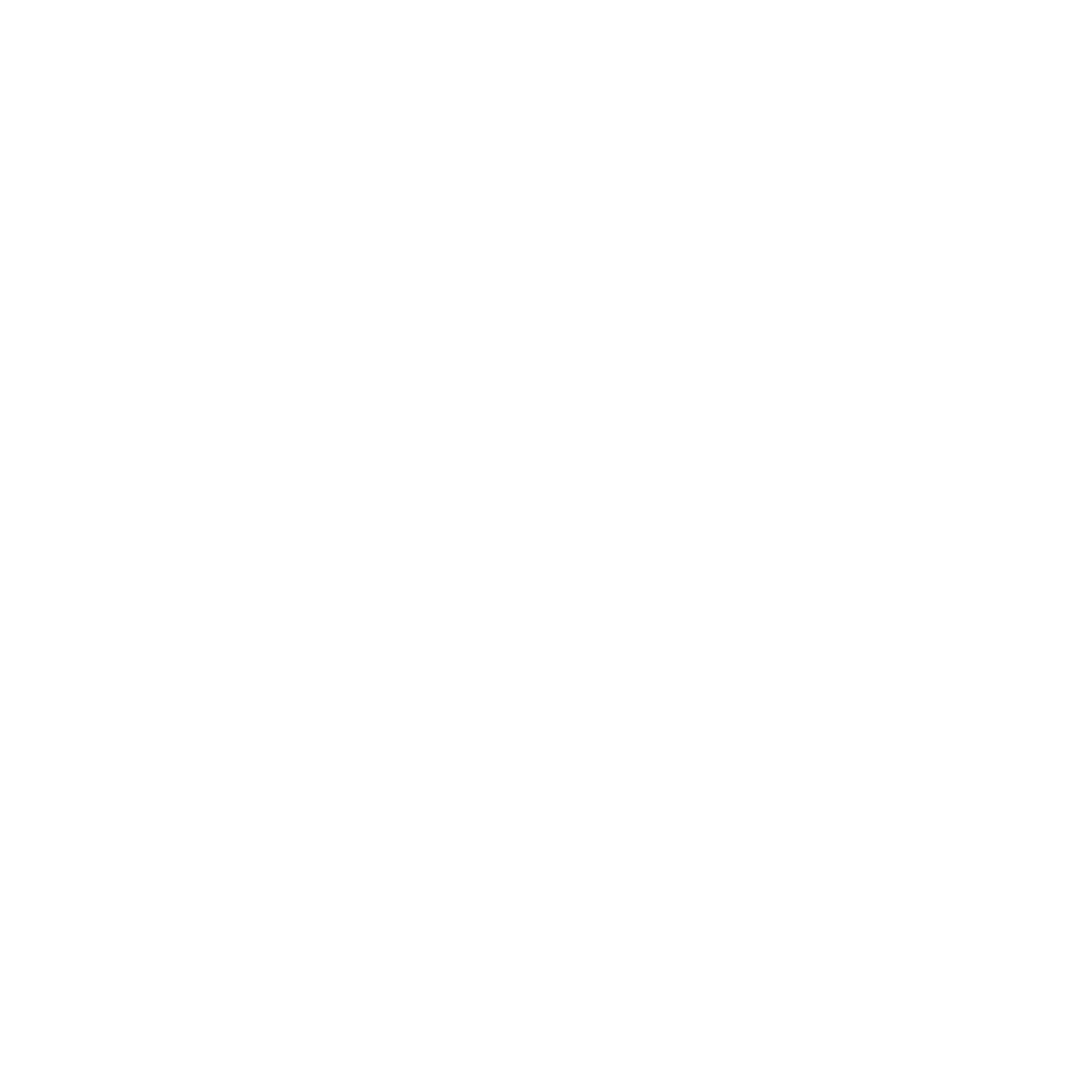 pinterest icon