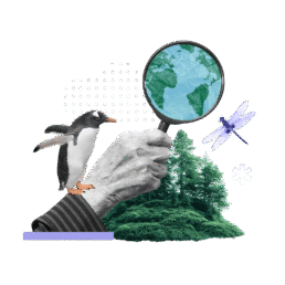 collage of hand holding magnifying glass in the woods