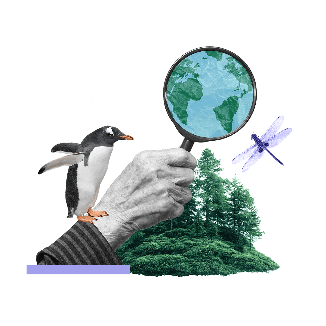 collage of hand holding magnifying glass in the woods